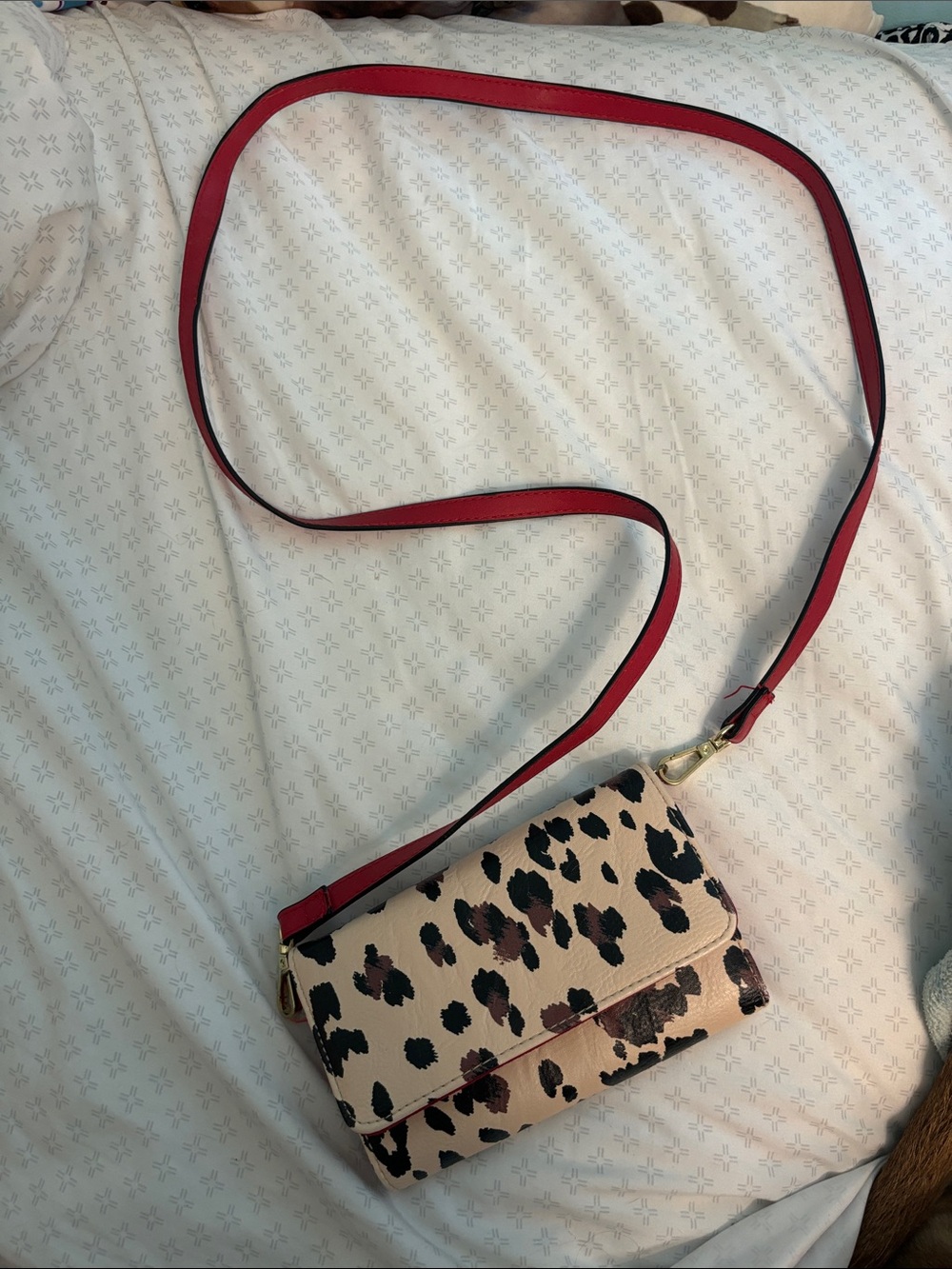 Leopard Print Crossbody Bag with Red Strap